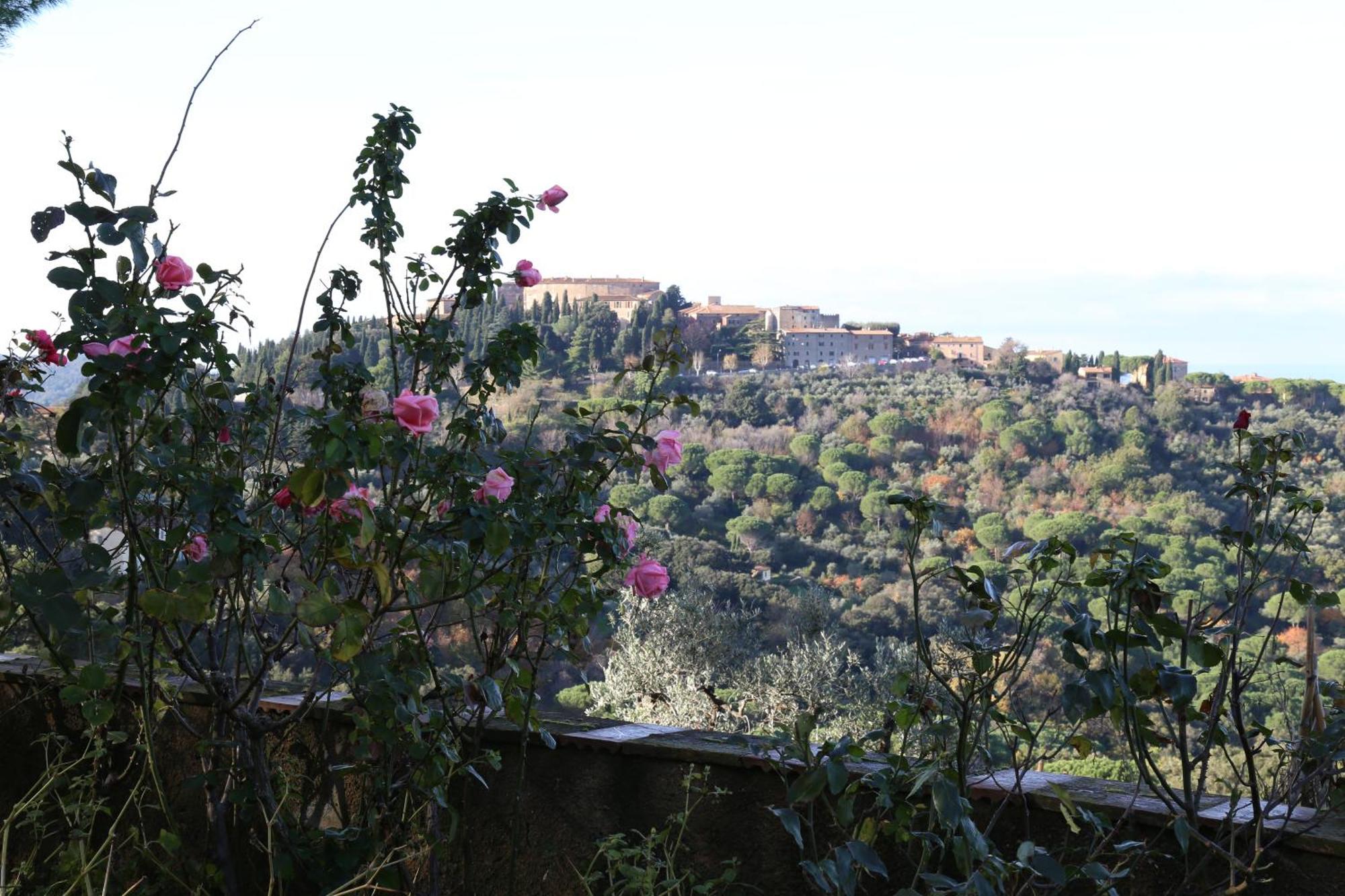 Agriturismo Bellavista Apt La Pergola Castagneto Carducci Exterior foto